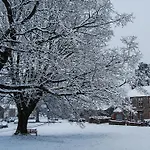 The Laburnums Askham (Cumbria)
